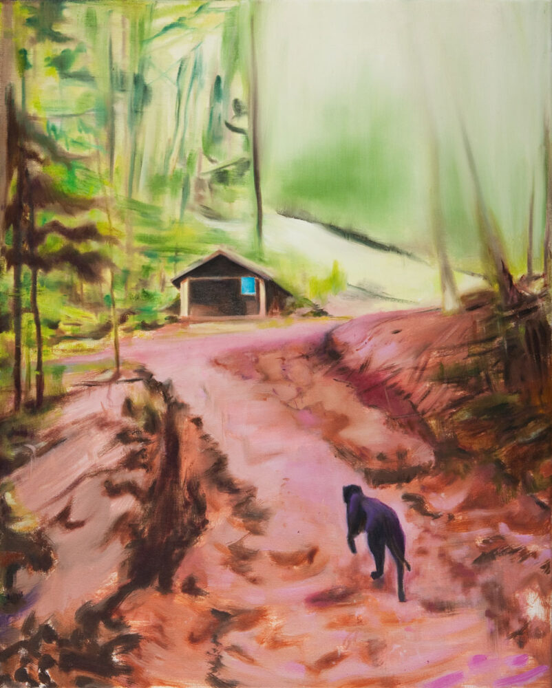 ein Waldweg zur Hütte rote Erde, ein Hund ein Panther