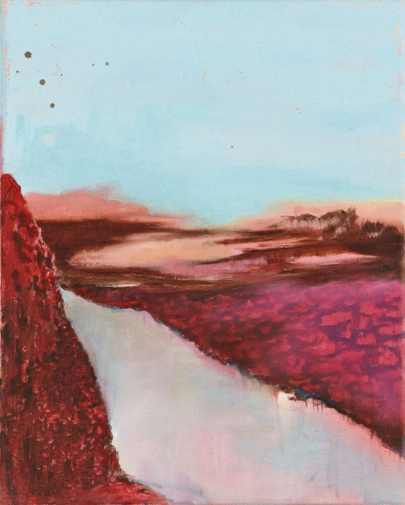 was und wo auch immer wir hier draußen sind alles leuchtet rotpink und der Himmel im satten hellblau