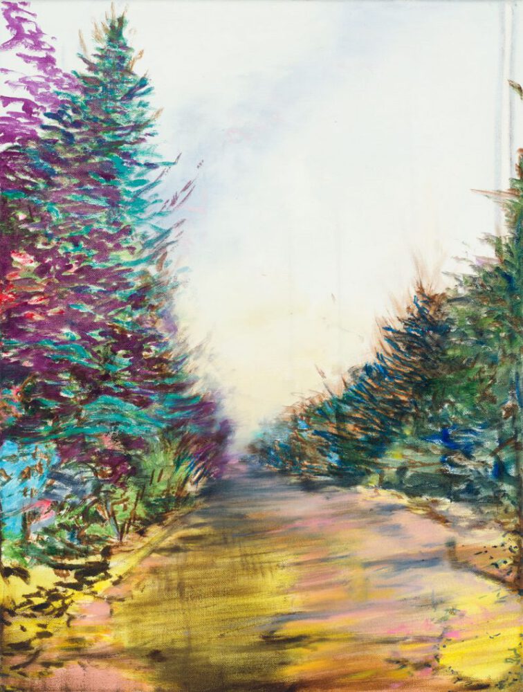 ein Weg ins Nichts mit fahlem Himmel, links und rechts bunte Büsche und Bäume